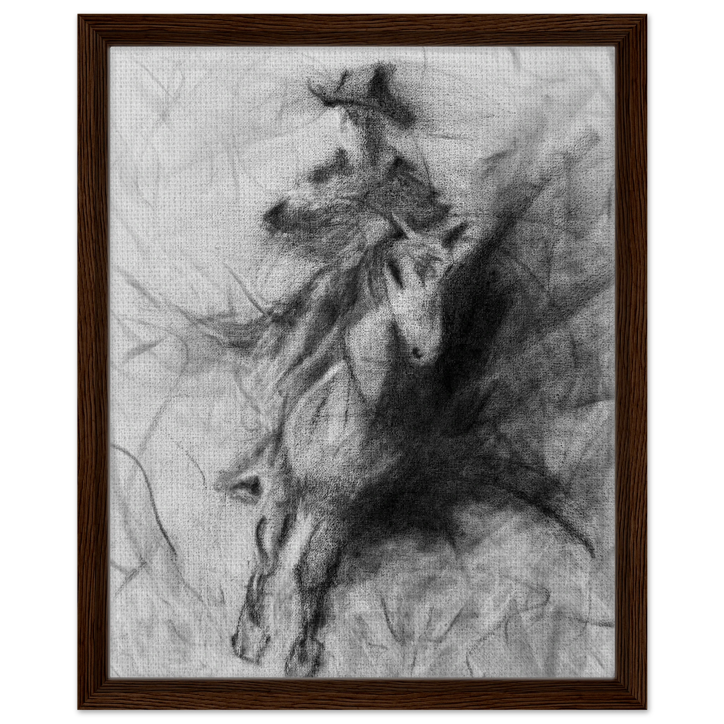 31a719fe-9581-457e-b825-c669874ae665