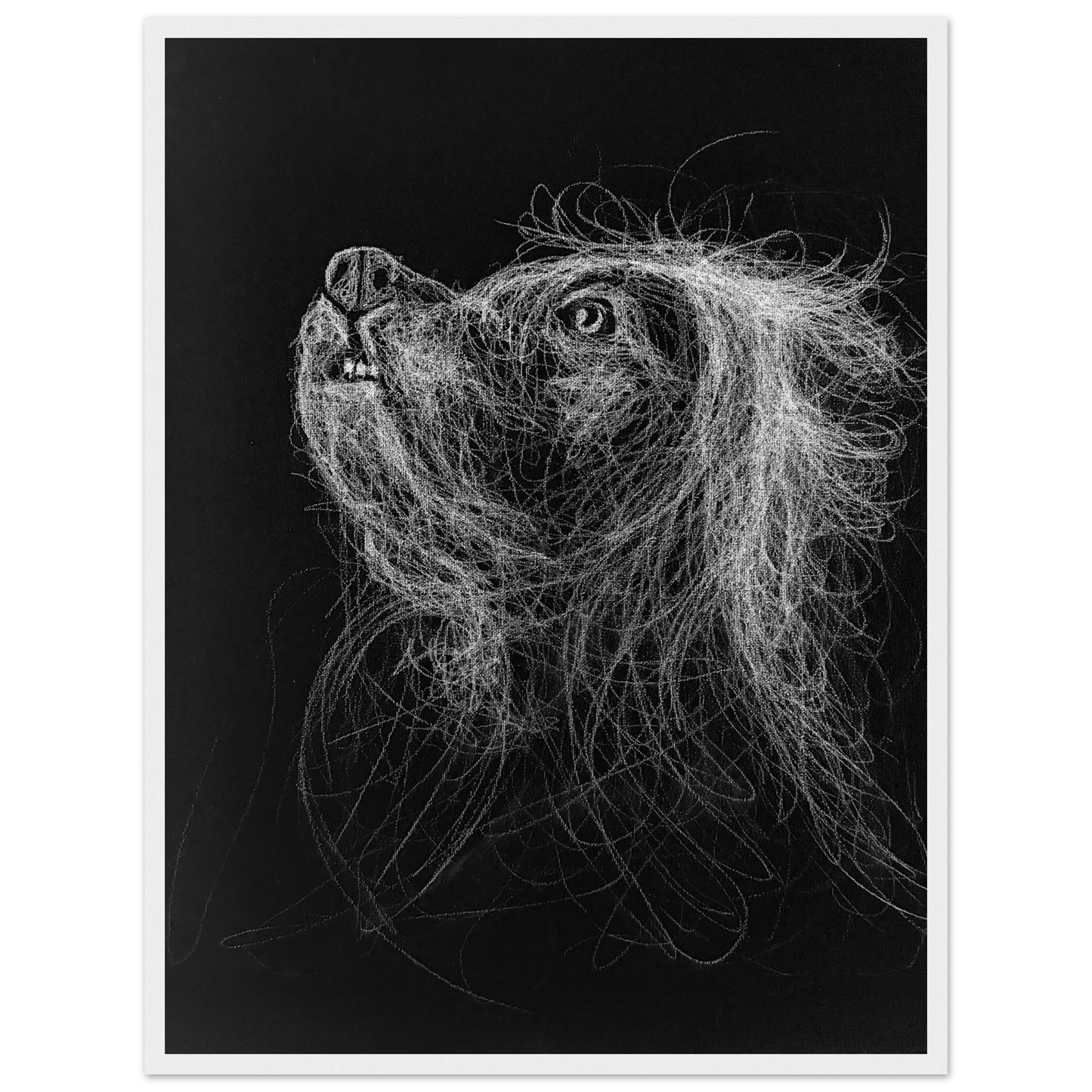 693d5720-16cc-4e51-b511-068d127c997f