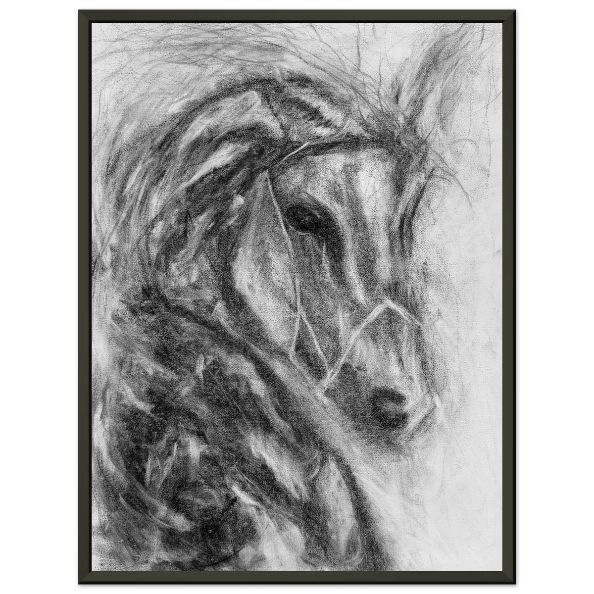 black charcoal portrait of a horse charging forward on a white canvas in it answered to the wind by chaos line studios