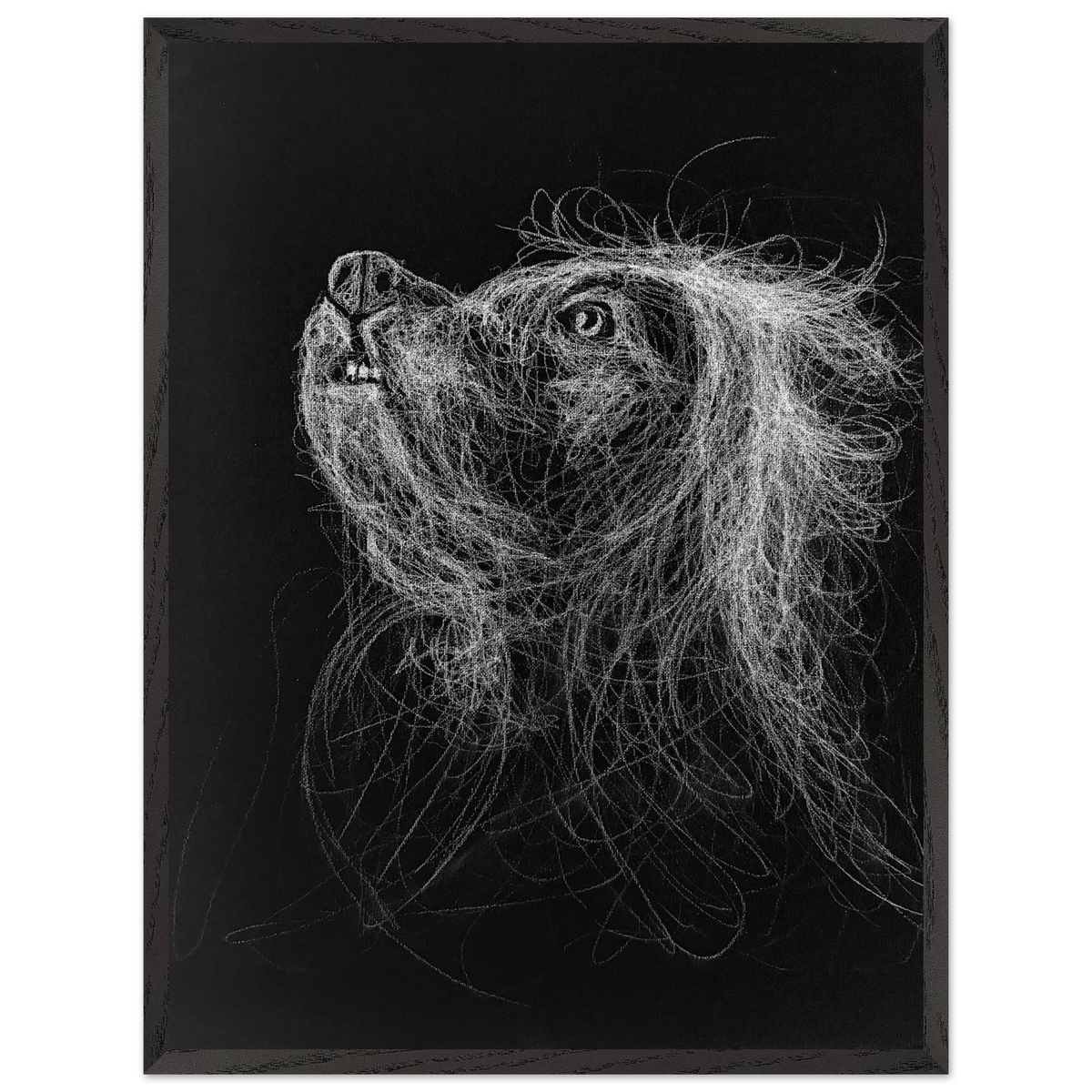 a550b3c3-efa3-40fe-860c-b40b1b088ade