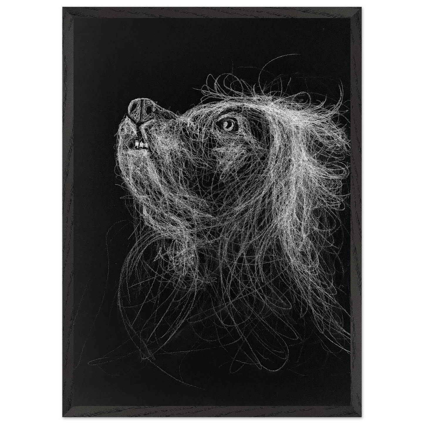 affe9448-e683-4769-a0e2-e072bef7e2ae