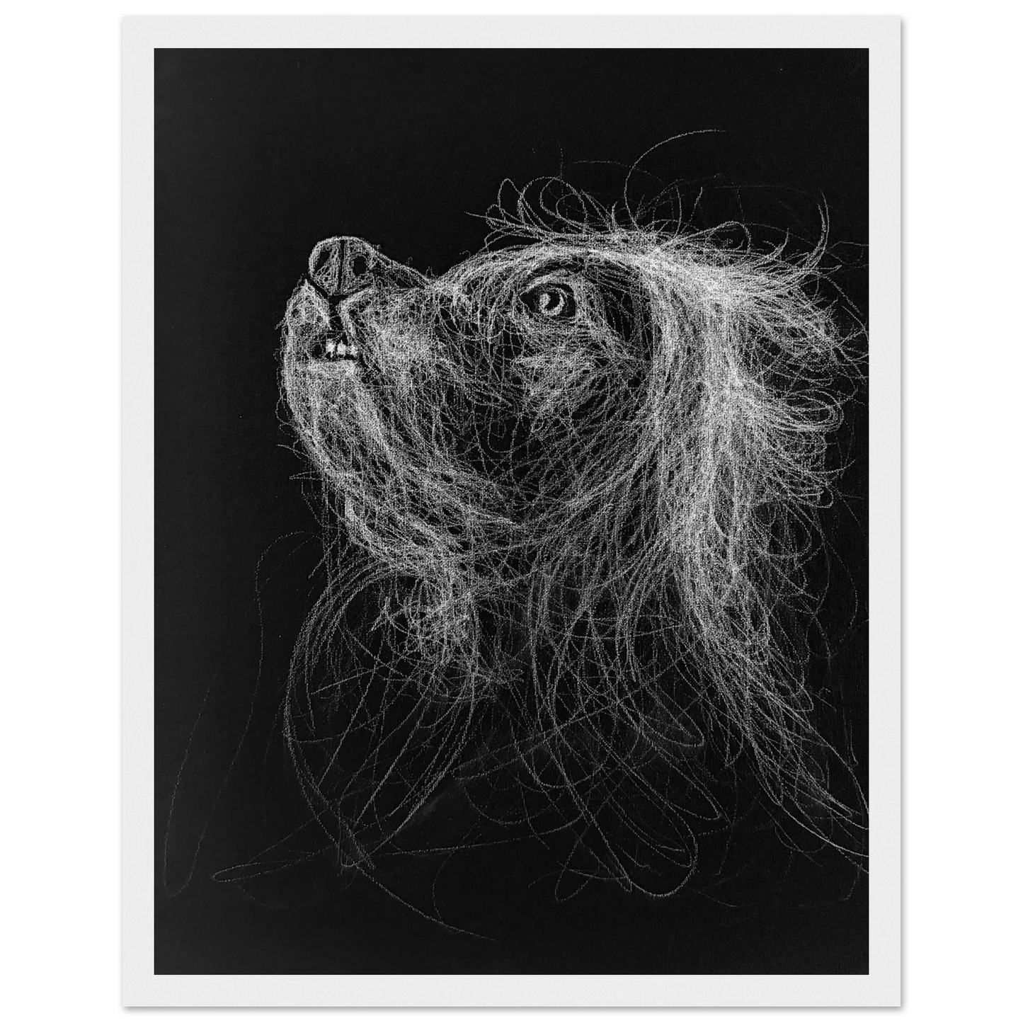 d320e551-a615-4b39-bc80-dbdc6411465a