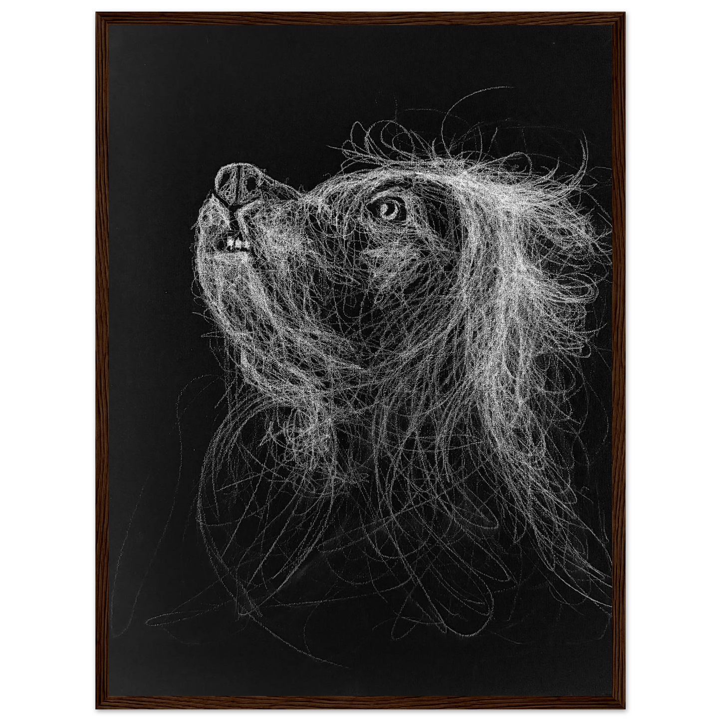 e5679b45-bf12-4736-bc8b-9503c9237f78